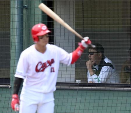 　試合を視察する新井監督。手前は小園（撮影・田中太一）