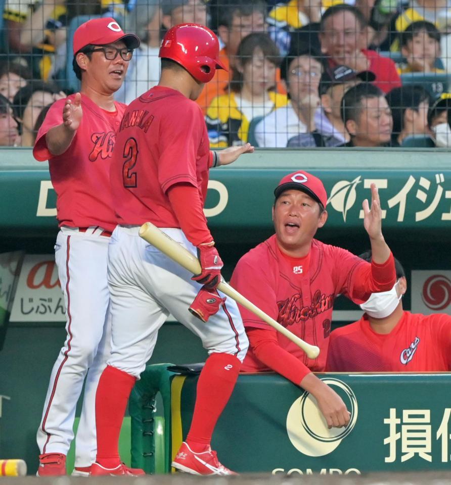 　３回、小園の適時三塁打で生還した田中（２）を迎えてタッチを交わす新井監督（右）＝撮影・立川洋一郎