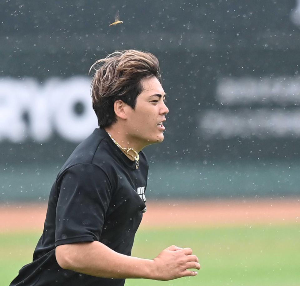 　バッタと競走！？黙々とダッシュを繰り返す九里（撮影・田中太一）