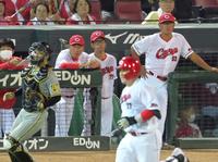 　９回、一ゴロに倒れる会沢（手前）を見る新井監督（左から３人目）＝撮影・立川洋一郎