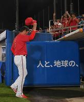 　神宮６連敗となり、スタンドのファンに応えながら球場を引き上げる新井監督（撮影・伊藤笙子）