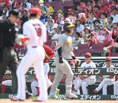 　１回、３点目を奪われた森下（左から２人目）を見つめる（右から）藤井ヘッドコーチ、新井監督（撮影・中田匡峻）