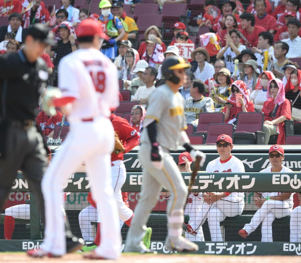 　１回、３点目を奪われた森下（左から２人目）を見つめる（右から）藤井ヘッドコーチ、新井監督（撮影・中田匡峻）