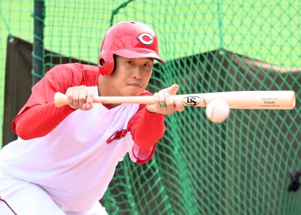 　バント練習をする小園（撮影・田中太一）