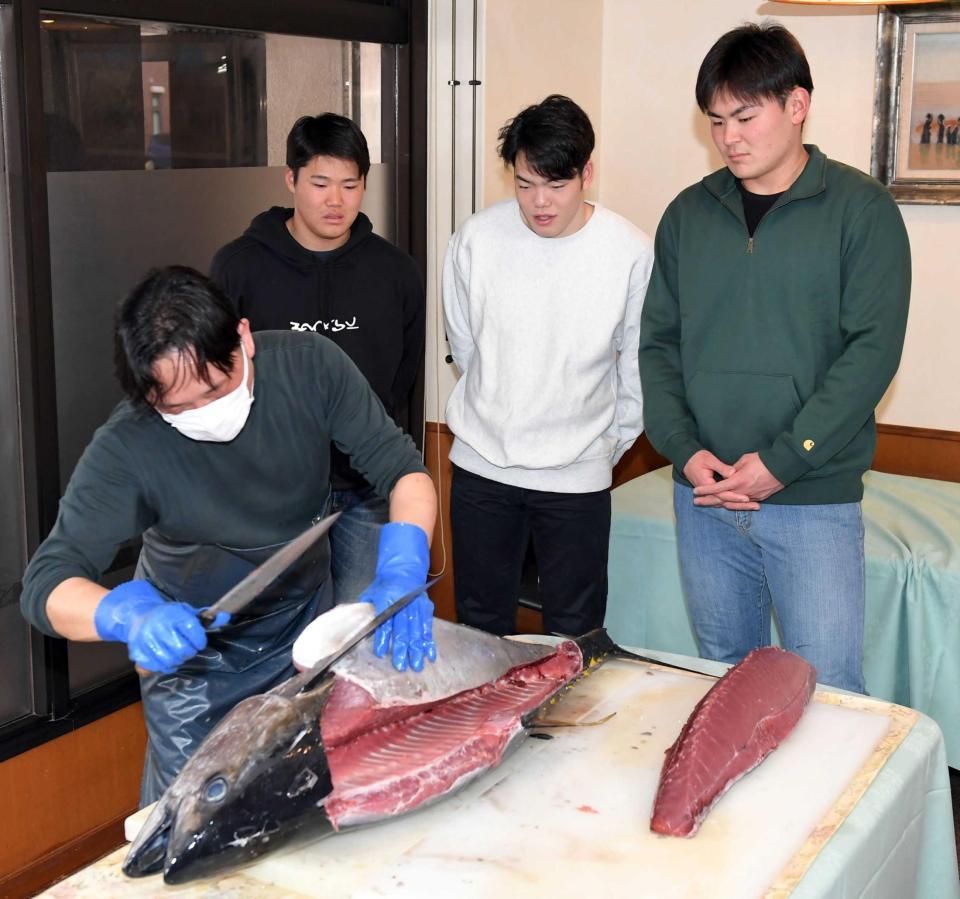 　マグロの解体を見学した（左から）高、滝田、赤塚