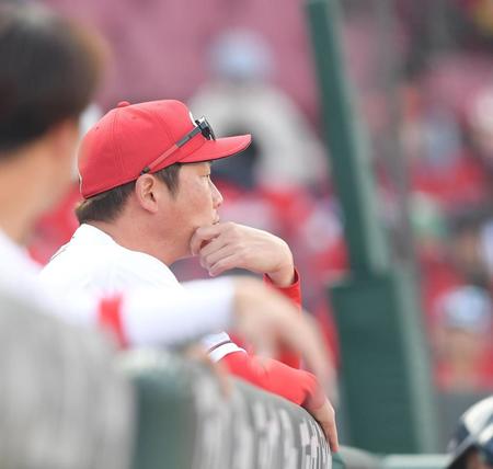 　ベンチから試合終了を見つめた新井監督（撮影・市尻達拡）