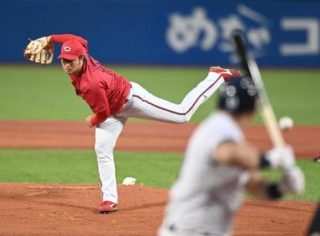 　力投する床田（撮影・園田高夫）