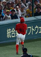 　４回、佐藤輝の飛球を好捕する矢野（撮影・山口登）