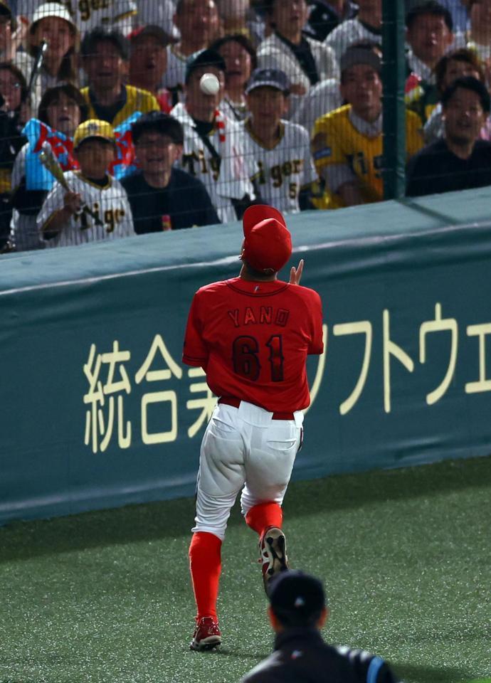 　４回、佐藤輝の飛球を好捕する矢野（撮影・山口登）