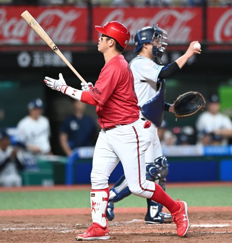 　４回、空振り三振に倒れた小園（撮影・園田高夫）