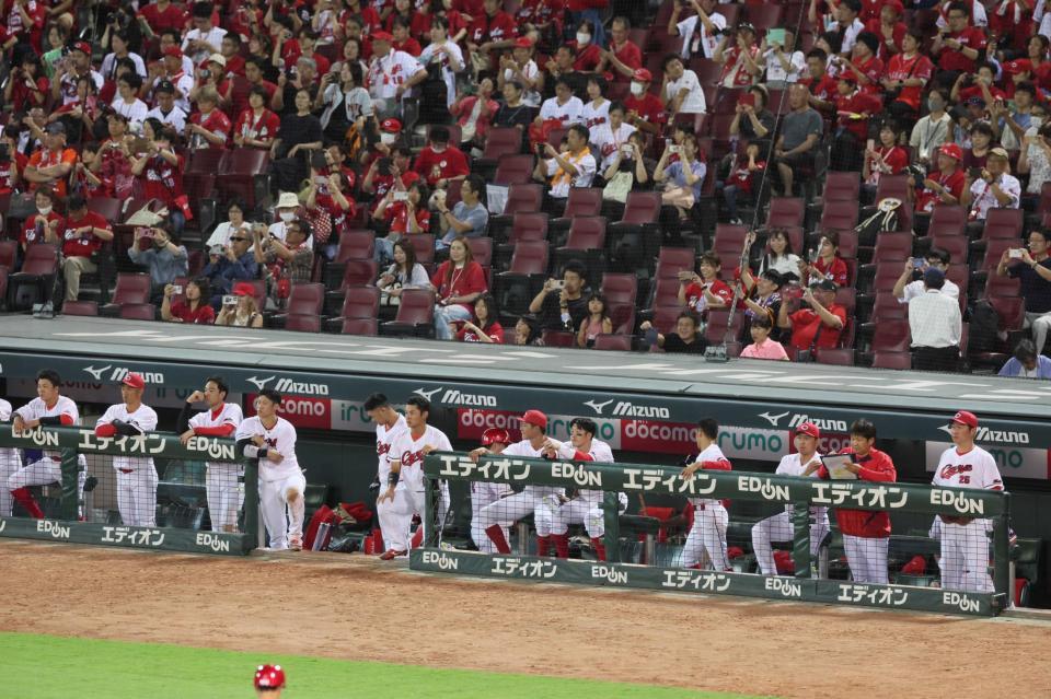 　試合終了となり歓喜する巨人ナインを見つめる新井監督（右）ら広島ナイン（撮影・立川洋一郎）