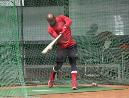 　打撃練習を行うファビアン