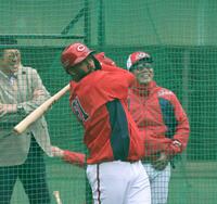 　ランチ特打で鋭い打球を放つファビアン（撮影・市尻達拡）