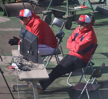 　新井監督と並び、紅白戦を見つめる黒田博樹球団アドバイザー（撮影・市尻達拡）