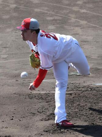 　シート打撃登板で、力投する佐藤柳（撮影・市尻達拡）