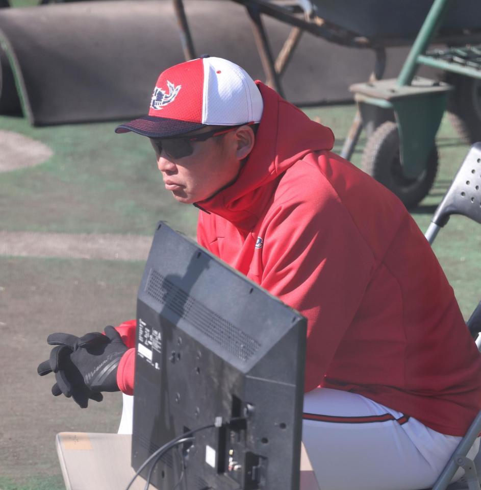 　紅白戦を見つめる新井監督（撮影・市尻達拡）