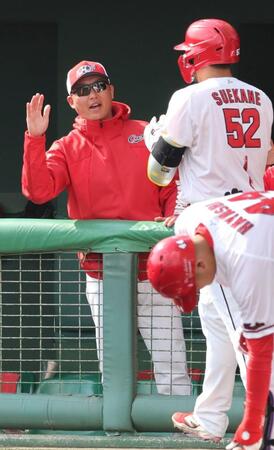 　６回、左中間への３ランを放った末包を出迎える新井監督（撮影・市尻達拡）