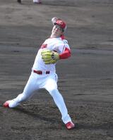 　シート打撃登板で、力投する森下（撮影・市尻達拡）