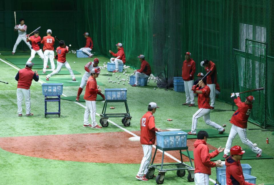 　春季キャンプと同様に、全体練習最後のメニューとして、ロングティーと連続ティーを行う広島野手陣