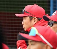 　戦況を見つめる新井監督（撮影・佐々木彰尚）