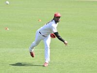 　キャッチボールを行うドミンゲス