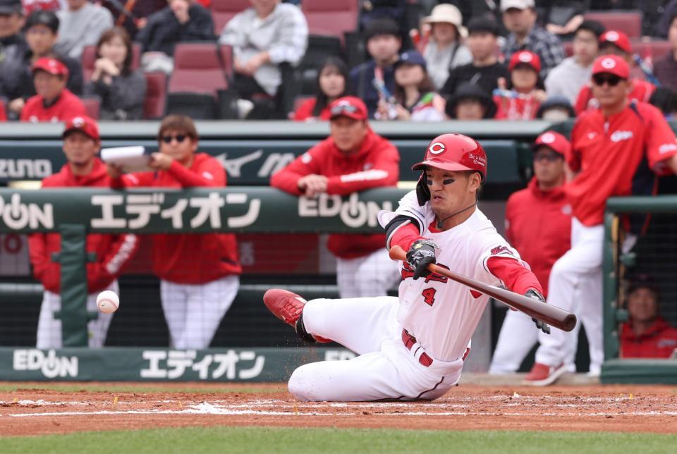 　３回、スクイズを決める矢野（撮影・市尻達拡）