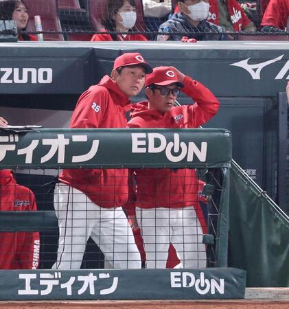 　８回、ベンチで藤井コーチと話をする新井監督（撮影・市尻達拡）