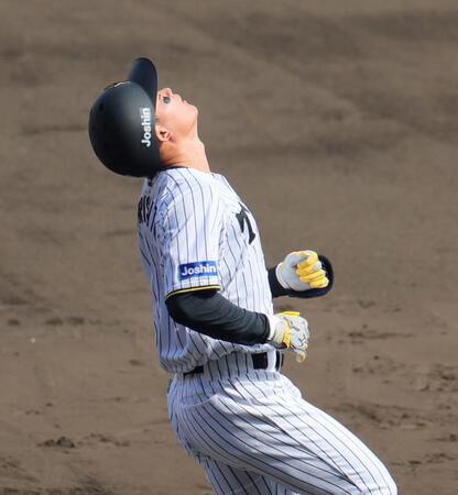 　４回、矢野の攻守にあい、遊ゴロに倒れた森下は天を仰ぐ（撮影・北村雅宏）