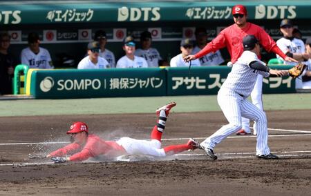 　遊内野安打で一塁にヘッドスライディングし、大山は木浪からの送球が悪送球になり捕球できず（撮影・山口登）