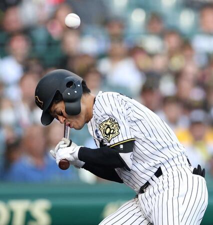 　８回、死球を受ける坂本（撮影・中田匡峻）