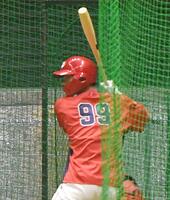 　魚雷バットでフリー打撃を行う（撮影・向亮祐）