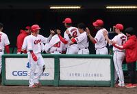 　１回、生還しナインとタッチを交わす坂倉（撮影・市尻達拡）