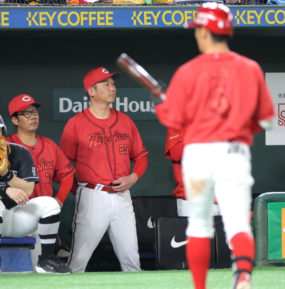 　６回、グラウンドを見つめる新井監督（撮影・西岡正）