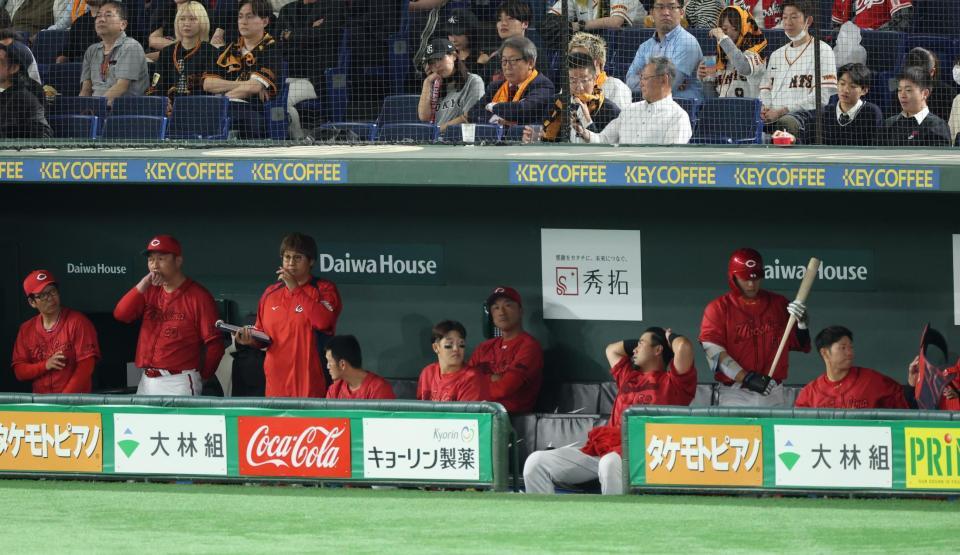 　ベンチで厳しい表情の新井監督らナイン（撮影・金田祐二）