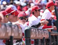 　スタメンを外れ、ベンチから試合を見つめる小園（中央）＝撮影・市尻達拡