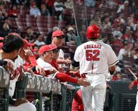 １２回、左前打を放った末包（５２）を出迎える新井監督（中央）＝撮影・市尻達拡