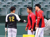 　練習中の坂本（左）に謝罪する石原と岡本（撮影・山口登）