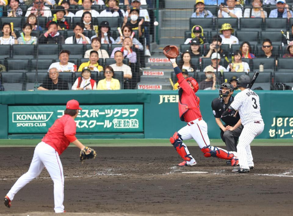 　５回、床田は大山に投じた投球は坂倉がジャンプをしても捕球できず失点を許す（撮影・山口登）