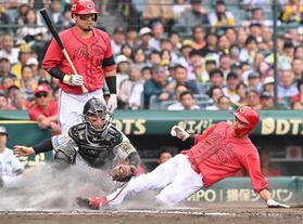 広島　中村奨成がホームスチール敢行も…間一髪でアウト　ベンチの新井監督は拍手　甲子園のスタンドがどよめく