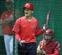 　打撃練習をする矢野（撮影・市尻達拡