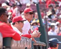 　５回、グラウンドを見つめる新井監督（撮影・市尻達拡）