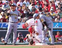 　８回、森下の打球がイレギュラーし、右頬付近に直撃して、うずくまる佐々木（撮影・市尻達拡）