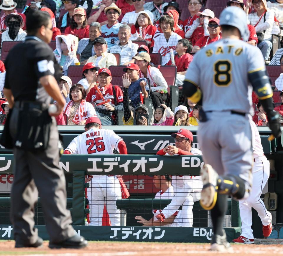 　８回、佐藤輝（手前右）の３ランでがっくりする新井監督（撮影・田中太一）