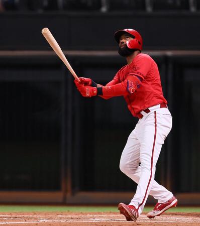 　５回、左犠飛を放つファビアン（撮影・中島達哉）