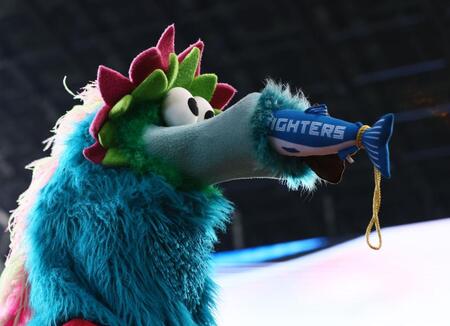 　しゃけまるを鼻に突っ込むスラィリー（撮影・中島達哉）