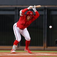 　１回、死球を受ける田中（撮影・中島達哉）