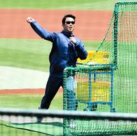 　早出練習で打撃投手を買って出た新井監督（撮影・畠山賢大）