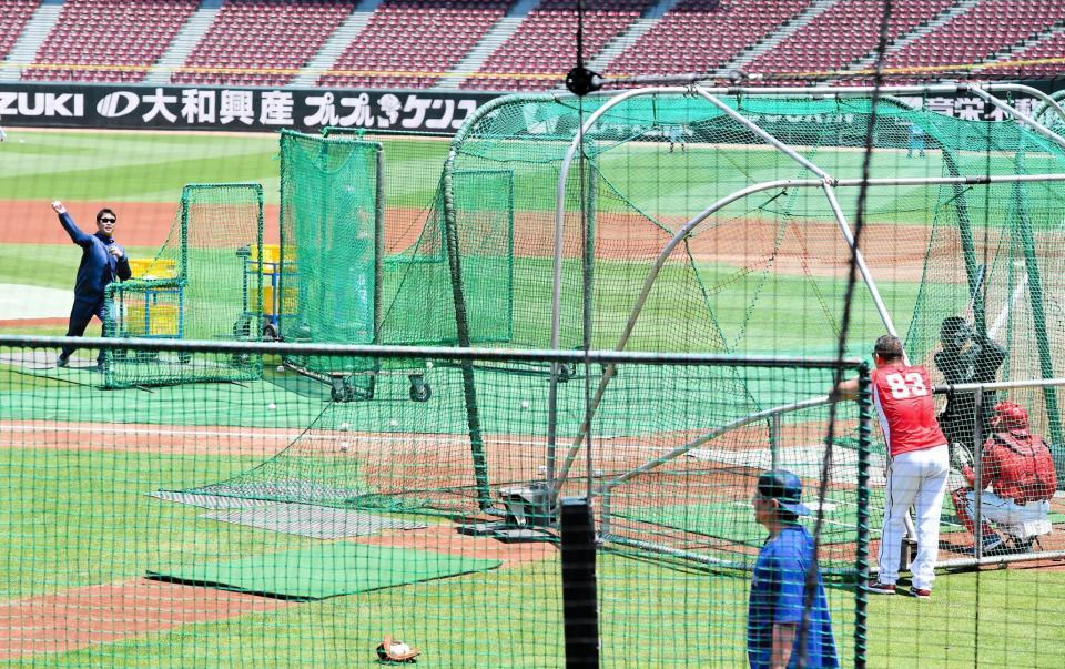 　早出練習で打撃投手を務める新井監督（撮影・畠山賢大）