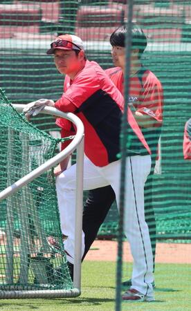 　打撃練習を見つめる新井監督（撮影・市尻達拡）