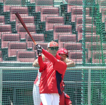 　打撃練習をする矢野（撮影・市尻達拡）